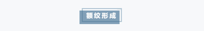 4434e11be274ac7763ab572ff4ff599e_de327c74ed1498c384244618938f33ac.jpg