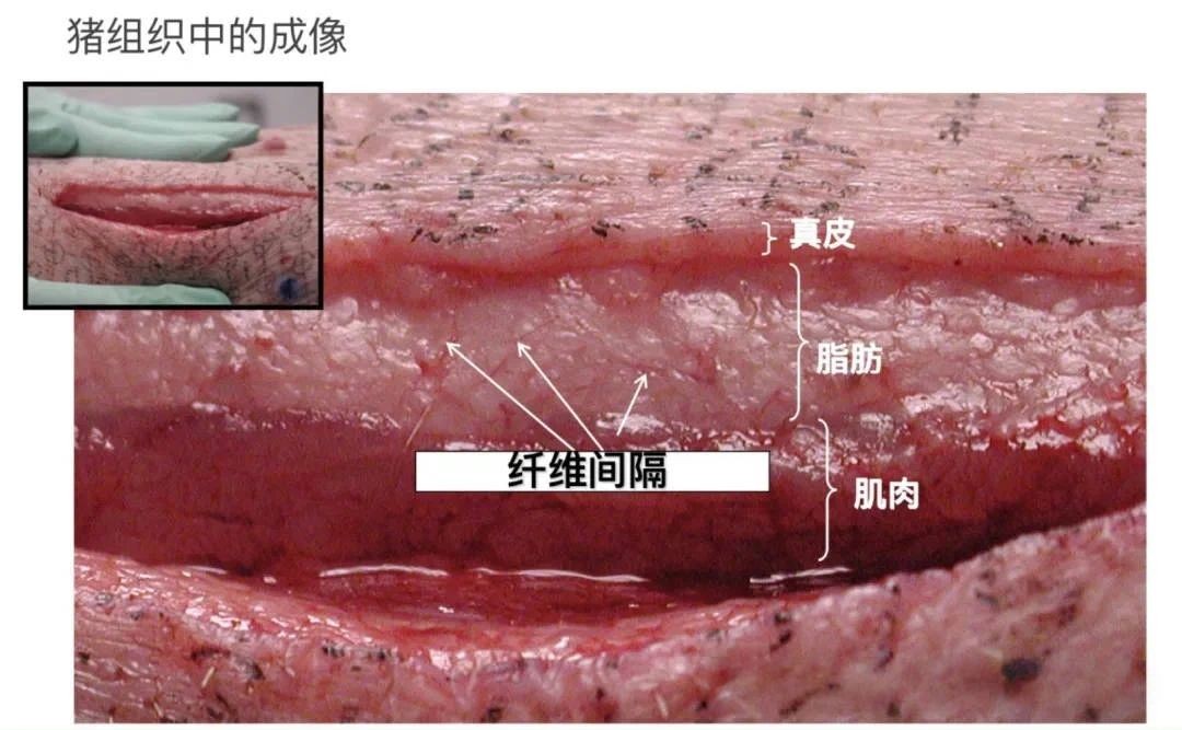 微信图片_20250208213551.jpg