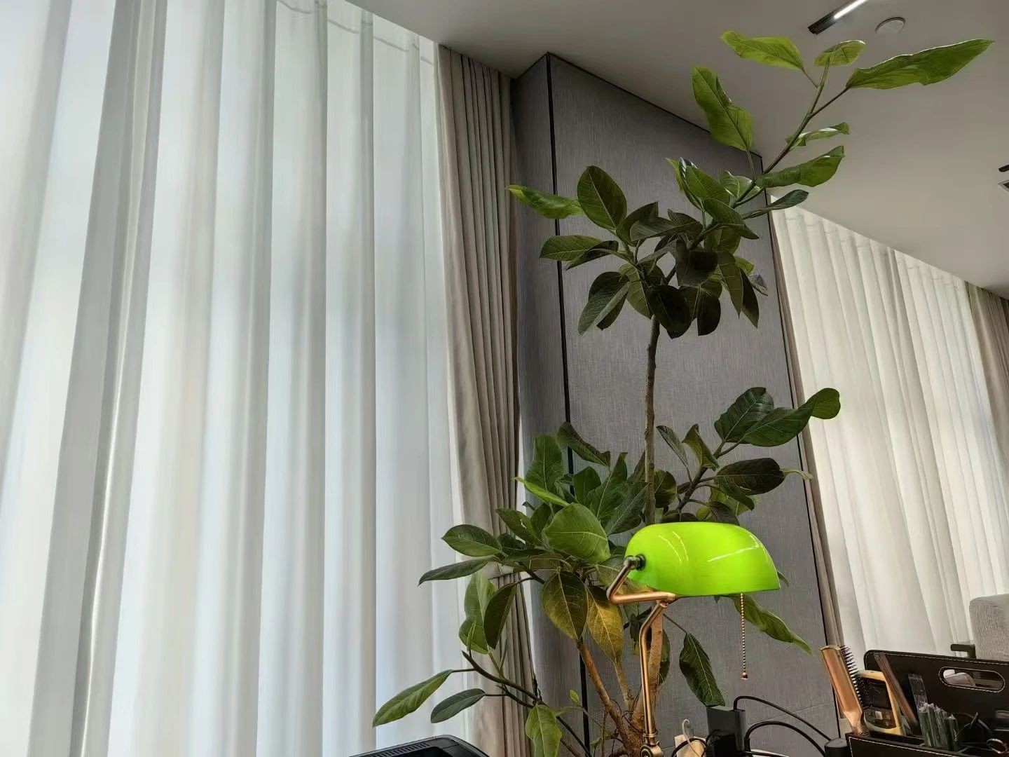 微信图片_20250327091010.jpg