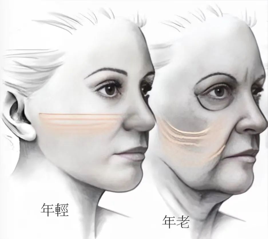 微信图片_20250420072455.jpg