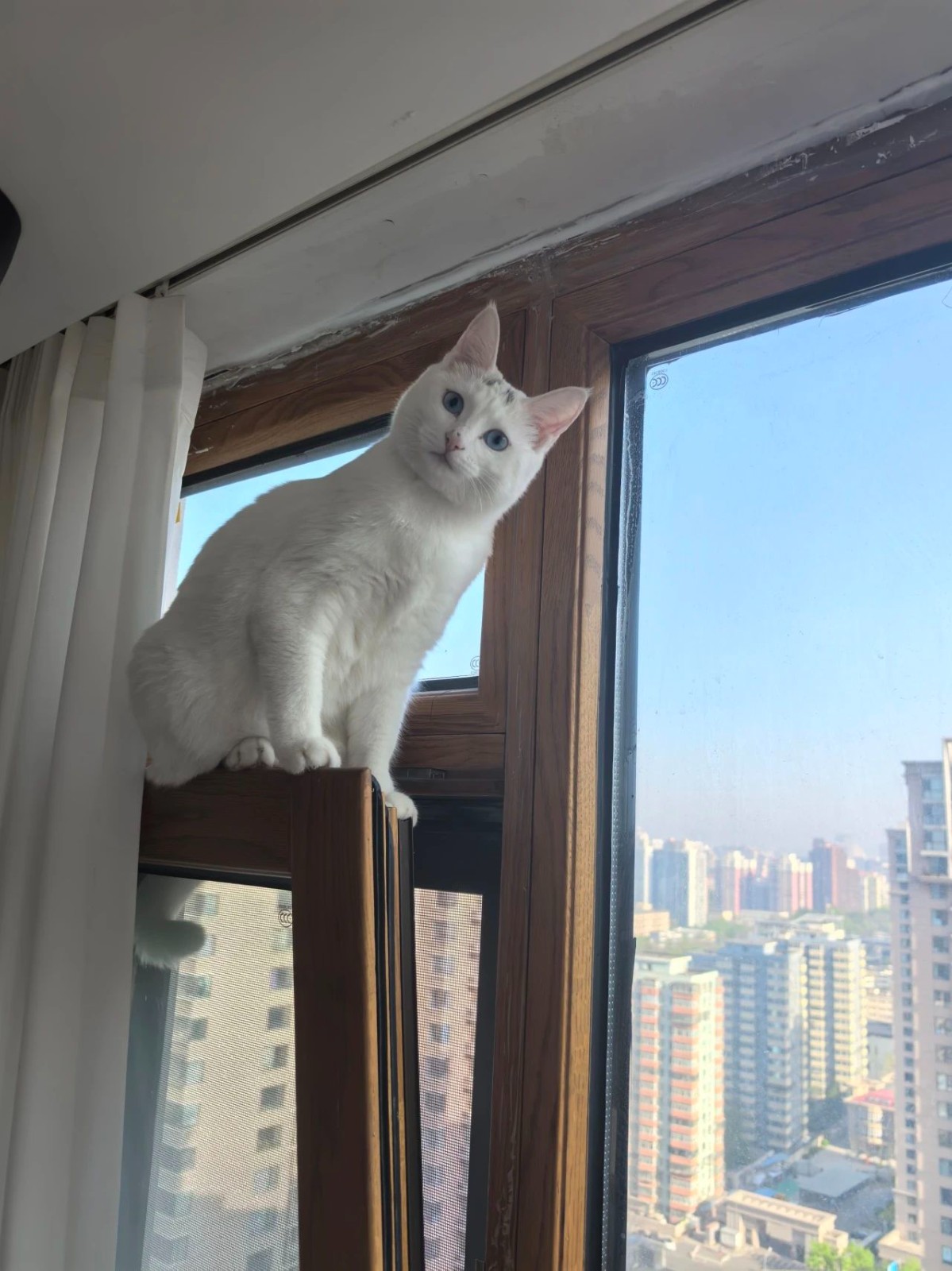 微信图片_20250611163719.jpg