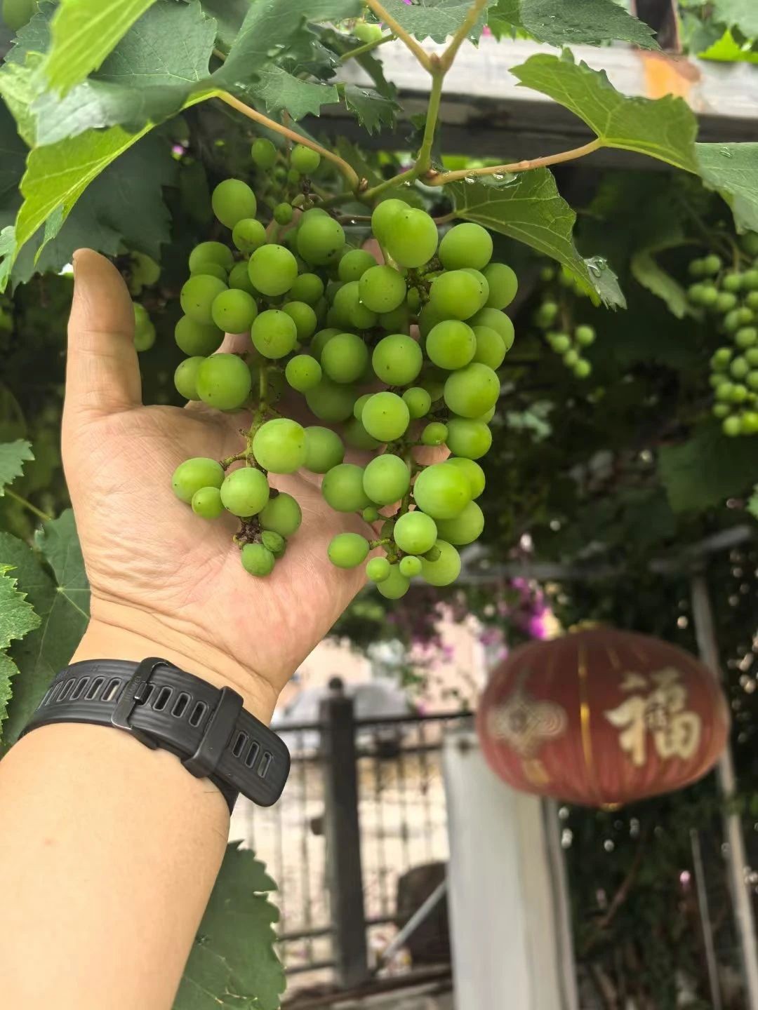 微信图片_20250615132157.jpg