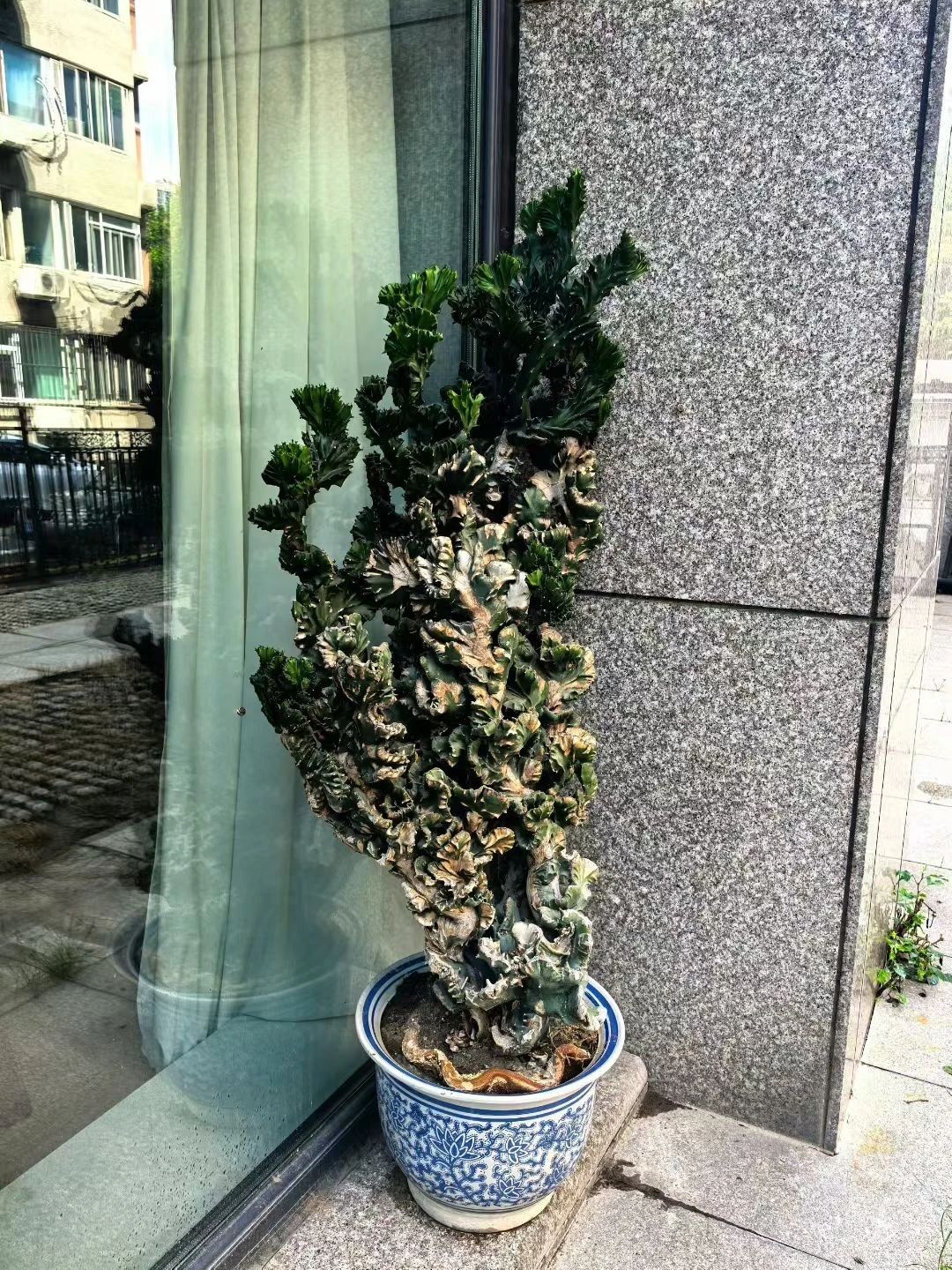 微信图片_2025-08-12_073354_955.jpg