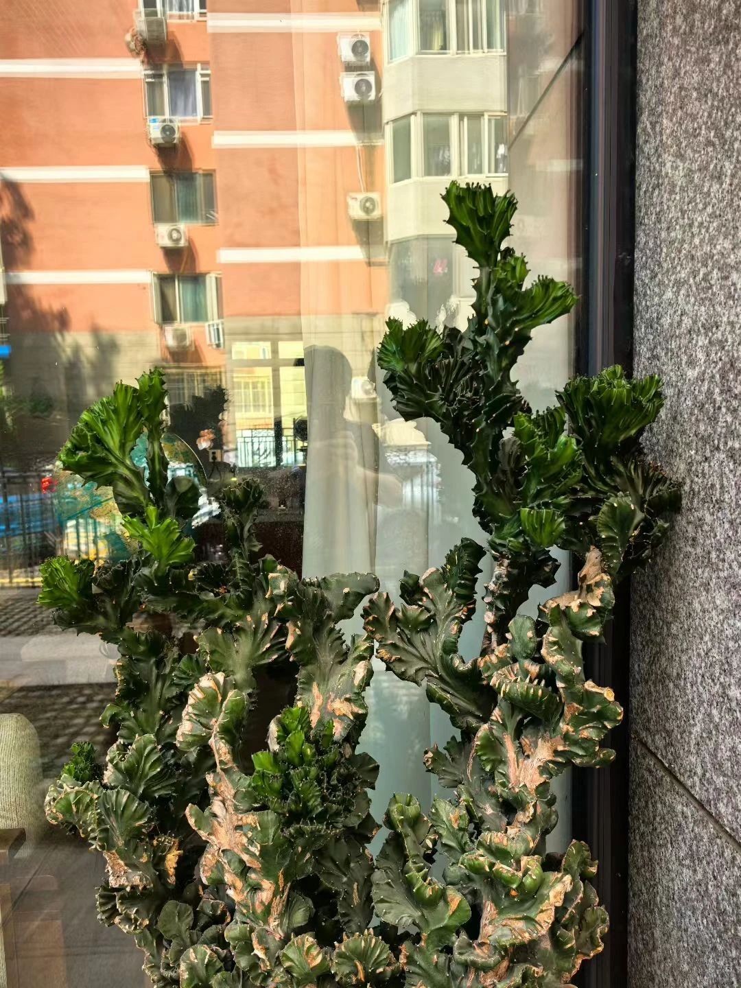 微信图片_2025-08-12_073358_481.jpg