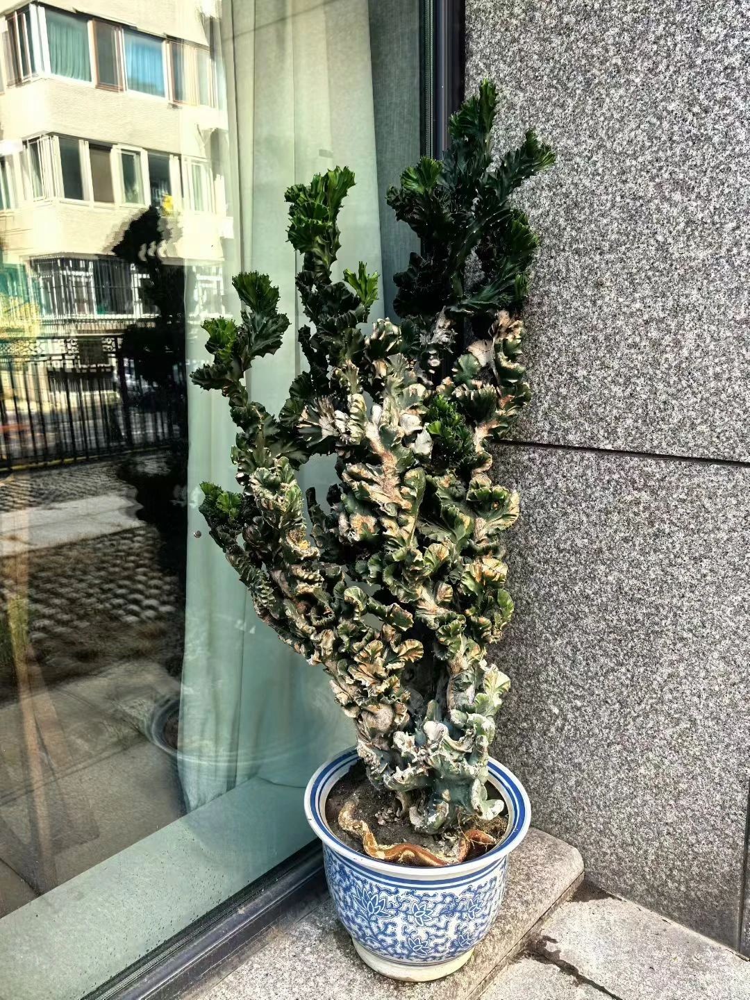 微信图片_2025-08-12_073401_060.jpg