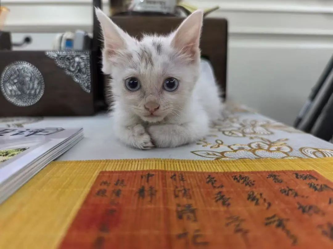微信图片_2025-08-16_102928_155.jpg