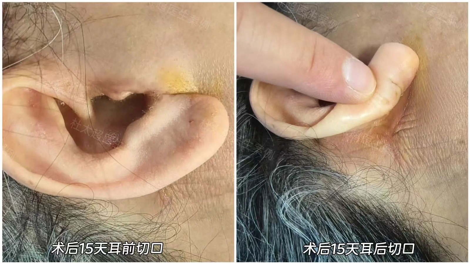 微信图片_2025-09-08_102301_035.jpg